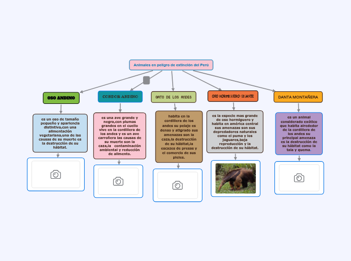 mapa conceptual ANIMALES EN PELIGRO DE EXTINCIÓN